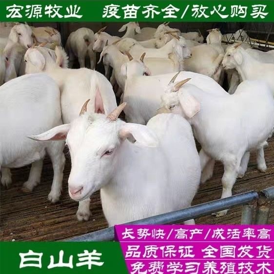 403a61686b5a67d9d798c59d55f729cb.jpg